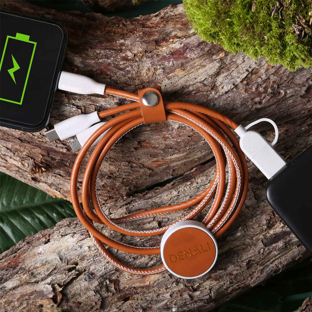 Denali TerraTone 3-In-1 Charging Cable