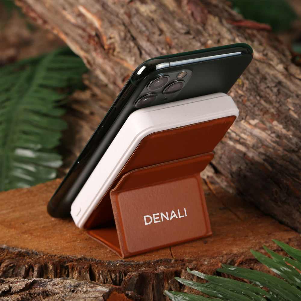 Denali TerraTone Powerbank & Wireless Charger